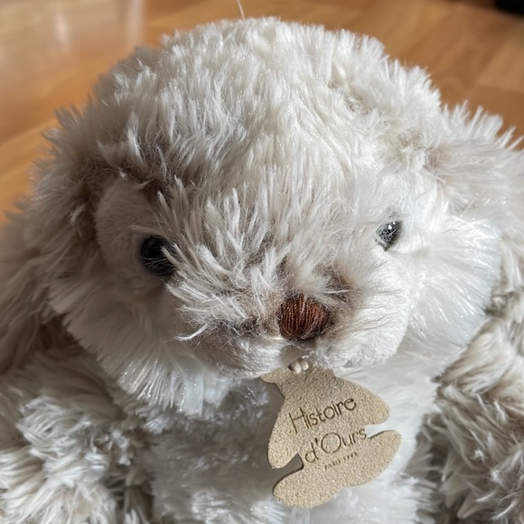 Very cute 🐰 bunny! - Picture 5 of 8